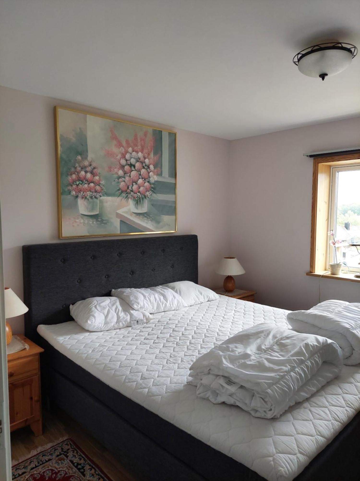 Villa Med Sjoutsikt Immeln Екстер'єр фото