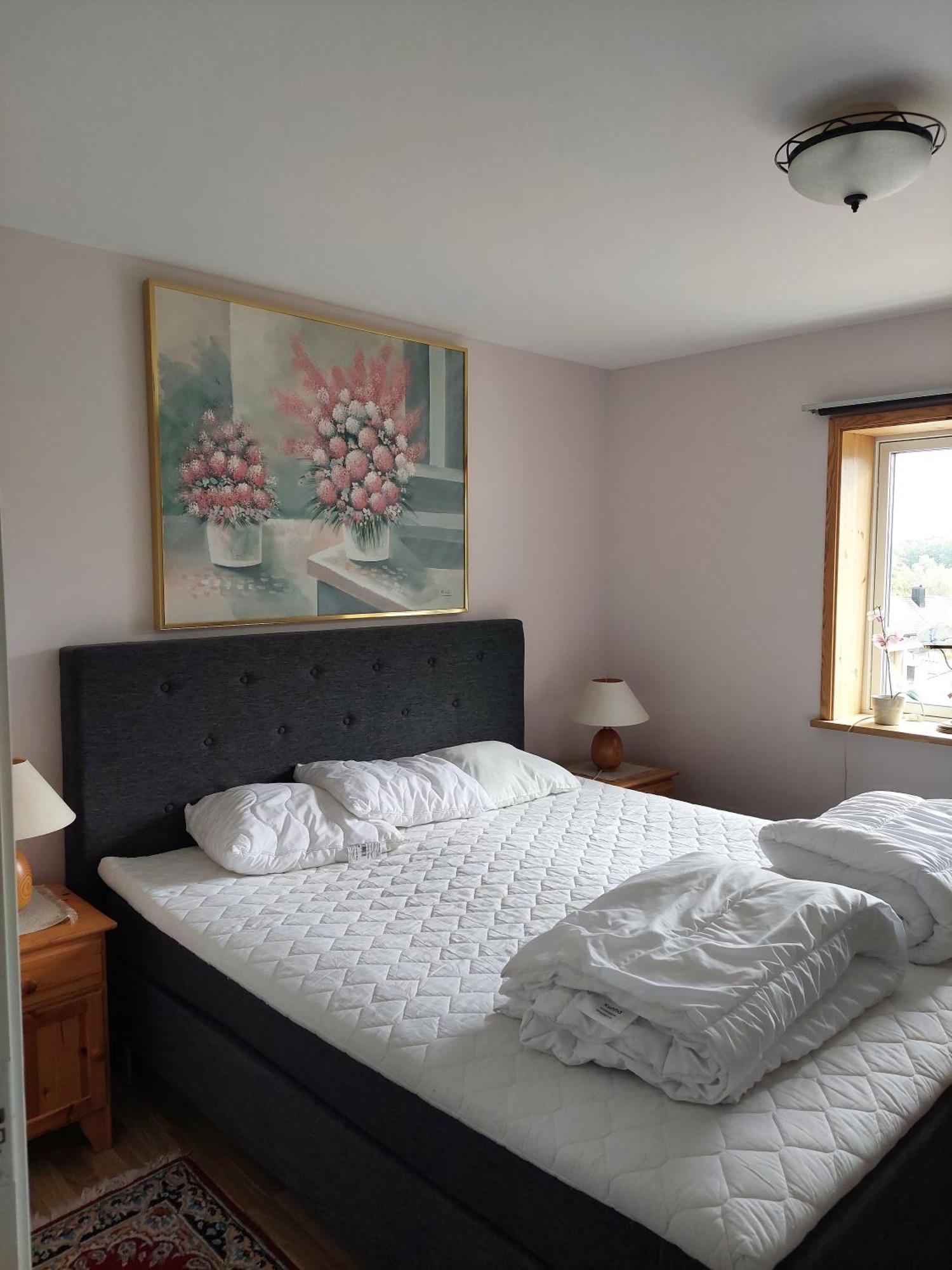 Villa Med Sjoutsikt Immeln Екстер'єр фото